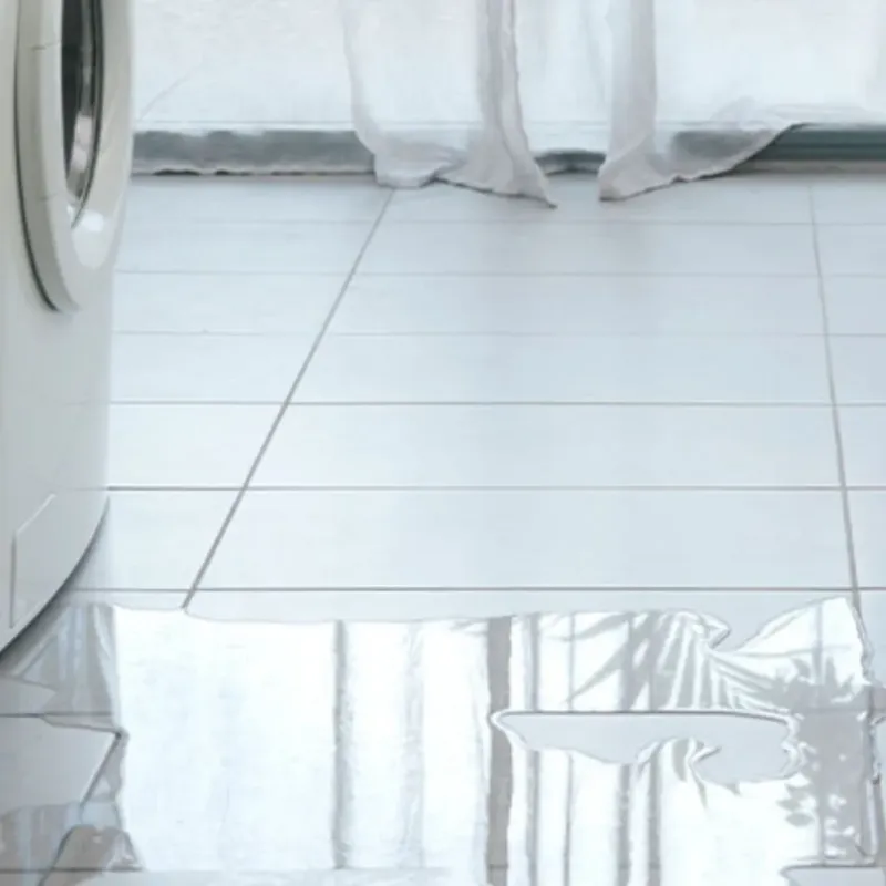 Appliance Leak Cleanup in Bosque County, TX