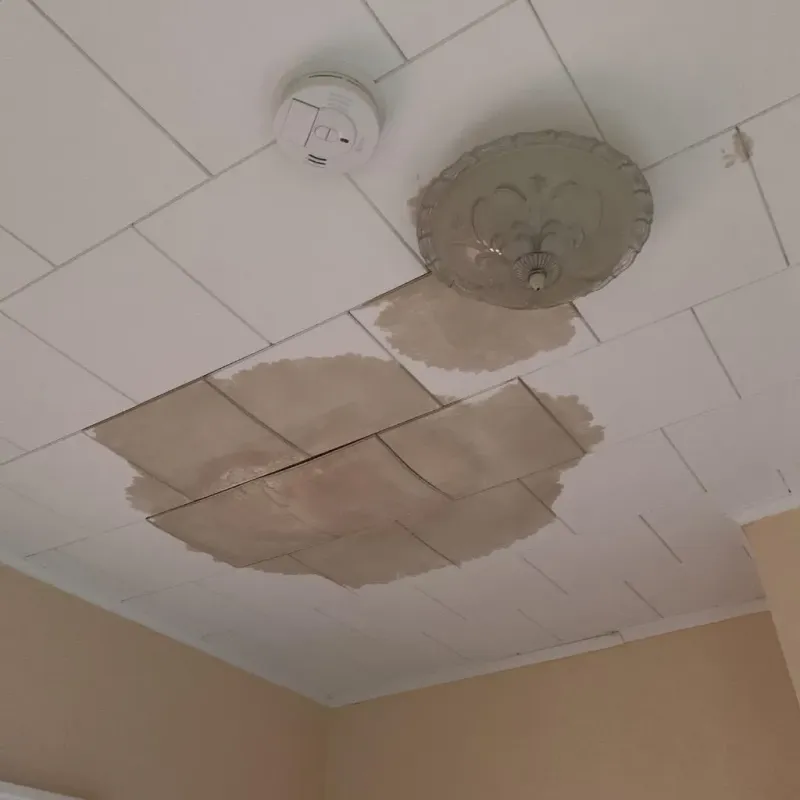 Ceiling Water Damage Repair in Bosque County, TX