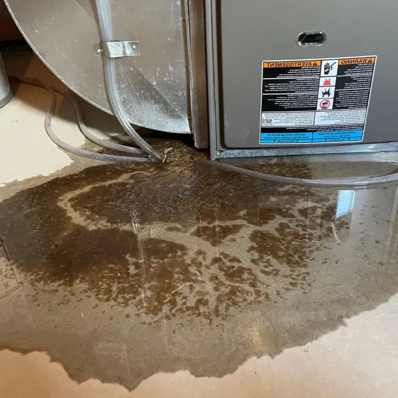 Pipe Burst and Leak Restoration in Bosque County, TX